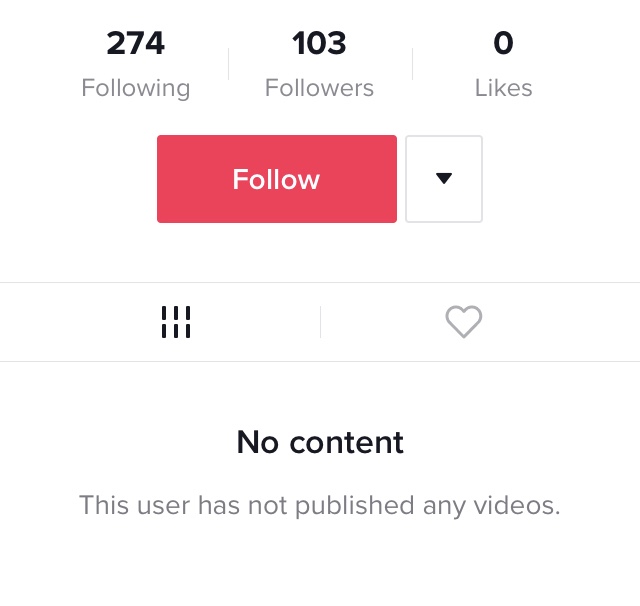 How to See A Private TikTok Account - Snap Font